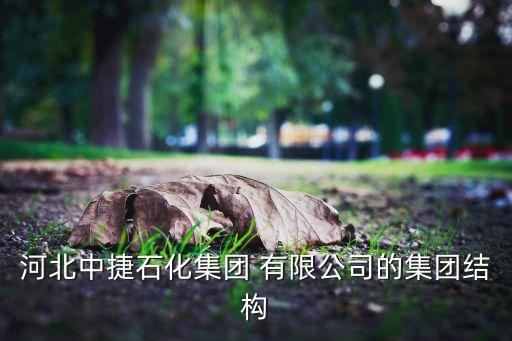 泰州凱旋新能源有限公司,泰州衡川新能源材料科技有限公司...